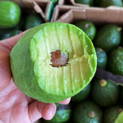 赛卡伊 牛油果新鲜当季巨无霸大果水果辅食鳄梨整箱