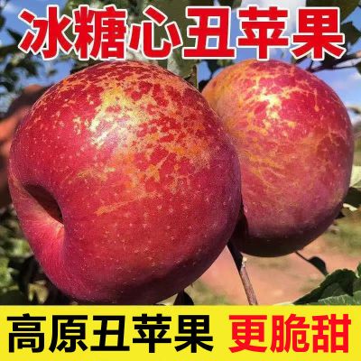 赛卡伊 正宗冰糖心丑苹果整箱批发10/5/3斤新鲜水果当季脆甜红富士大果