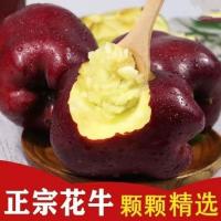 赛卡伊 花牛苹果新鲜水果当季整箱红蛇果应季粉面红苹