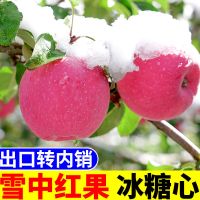 赛卡伊 [雪果]苹果冰糖心红富士新鲜脆甜丑平果批发应季水果一整箱正宗