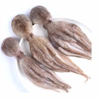 赛卡伊 新鲜八爪鱼海鲜鲜活水产火锅食材大章鱼爆头鲜活