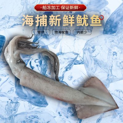 赛卡伊 海鲜鱿鱼鱿鱼新鲜鱿鱼烧烤用大鱿鱼无冰无冰无冰