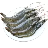 赛卡伊 虾一箱大虾水产海鲜鲜活基围虾冷冻海青虾白虾超大 14-15cm[鲜活速冻 新鲜直发] 冻大虾整箱