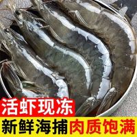 赛卡伊 青岛大虾鲜活新鲜批发4斤海鲜水产特大级基围虾对虾一整箱 14-17厘米[特惠精选]掌柜力荐