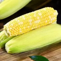 赛卡伊 现摘水果玉米新鲜甜玉米开袋即食嫩玉米生吃爆浆新鲜玉米