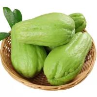 赛卡伊 佛手瓜新鲜10斤整箱洋瓜寿瓜丰收瓜窝瓜丝瓜蔬菜