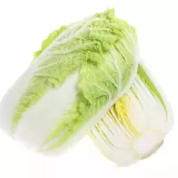 赛卡伊 白菜新鲜蔬菜应季大白菜整颗白菜自种装
