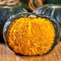 赛卡伊 正宗贝贝南瓜板栗味迷你小南瓜粉糯香甜软辅食老南瓜