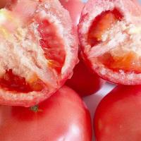 赛卡伊 番茄西红柿新鲜自然熟沙瓤生吃水果蔬菜云南新鲜蔬菜