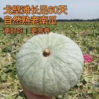 赛卡伊 板栗南瓜板栗味应季粉糯栗面5斤辅食新鲜蔬菜