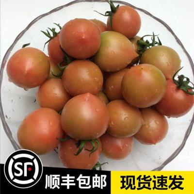 赛卡伊 春桃圣女果小西红柿番茄 新鲜蔬菜时令水果2-5斤