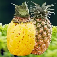 赛卡伊 [爆甜多汁]手撕凤梨新鲜应季水果牛奶凤梨特大菠萝整箱批发