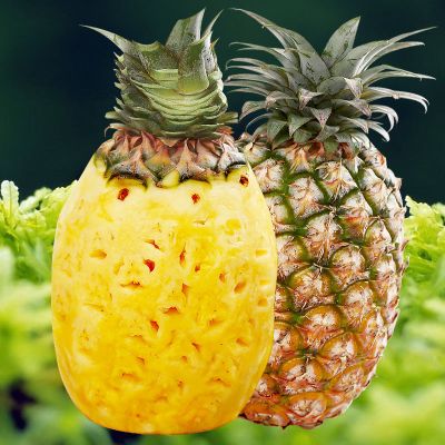 赛卡伊 [爆甜多汁]手撕凤梨新鲜应季水果牛奶凤梨特大菠萝整箱批发