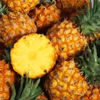 赛卡伊 正宗徐闻香水大菠萝现摘新鲜水果手撕非凤梨整箱3/5/10斤批发