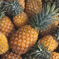 赛卡伊 正宗徐闻香水大菠萝当季新鲜水果批发非凤梨产地整箱2/5/10斤