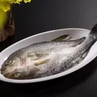 赛卡伊 七星鲈鱼开背鲈鱼调味海鲈鱼腌制生鲜新鲜开背鱼 三条装 [600克-700克一条]