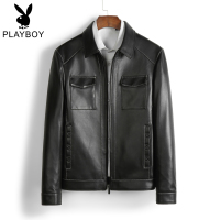 春季海宁真皮皮衣男单皮夹克翻领商务休闲男装绵羊皮中老年. SNX-L12A2002