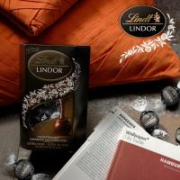 Lindt瑞士莲意大利原产地进口60%可可特浓黑巧克力榛子软心200g