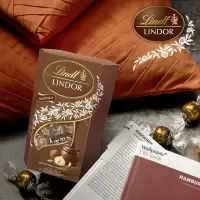Lindt瑞士莲 进口榛子夹心软心lindor巧克力200g食品