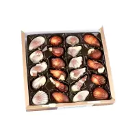Guylian 吉利莲 金贝壳巧克力礼盒 250克/盒【3月5日发完】