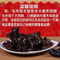 [火锅麻辣烫食材]餐饮批发大木耳干货脆木耳黑木耳木耳散装特产