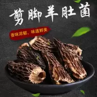 剪脚羊肚菌干货100g特级新鲜云南野生菌汤包非香菇食用菌羊肚菇