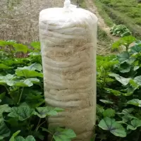 新货天然农家自产自销竹荪竹笙长裙干货特产无硫熏