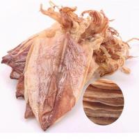 湛江特产 鱿鱼干货 烧烤鱿鱼干 酒吧 KTV 煲汤煮粥 专业批发