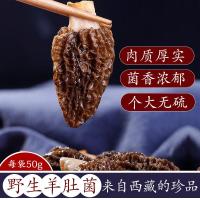 返野西藏野生羊肚菌正宗野生菌羊肚菜羊蘑肉质厚实干货土特产农家