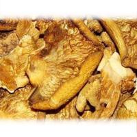 野生农家冻蘑东北元蘑长白山特产干货冬蘑菇小鸡炖蘑菇500g