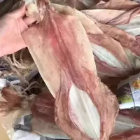 广东汕头南澳特产自晒淡宅鱿鱼干货野生海鲜整只鱿鱼仔500g4-10个