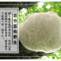 长白山新货野生猴头菇猴头蘑猴头菌可打猴头菇粉250g