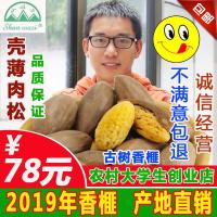 [山娃子]2019年新货绍兴诸暨枫桥特产特级坚果香榧干果子罐装袋装