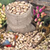 土耳其开心果新货500g无漂白原色进口紫皮盐焗干零食儿童孕妇坚果