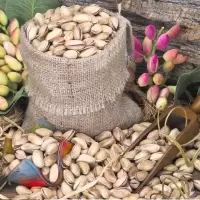 土耳其开心果新货500g无漂白原色进口紫皮盐焗干零食儿童孕妇坚果