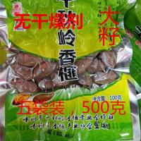 浙江嵊州千秋岭诸暨东阳枫桥特产香榧非妃果大子坚果零食500克新