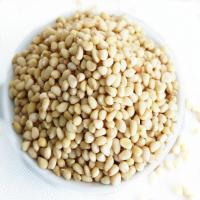 (果师傅)松子仁新包装连袋250g纯野生东北特产坚果零食干果炒货