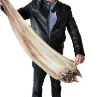 [特大野生鳗鱼干6斤-12斤]整条鳗鱼干渔民自晒咸鱼干海鲜干货