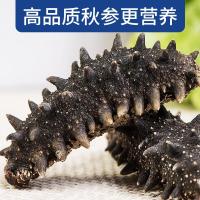 7S级大连淡干野生海参7年高龄辽参刺参干货大海参非即食海鲜海渗