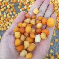 野生大干贝瑶柱即食特级海鲜干货元贝扇贝宝宝孕妇水产海鲜干货