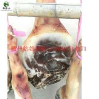 过年年货徽州火腿山绩溪土猪火腿非金华咸肉香肠整只火腿出售