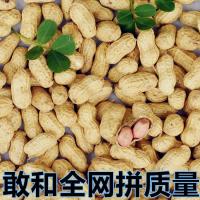 2019年新鲜带壳白沙花生批发晒干带壳干生花生米生花生原味花生果