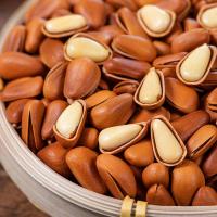 原味开口松子散装大颗粒500g手剥东北松子新货野生坚果零食炒货