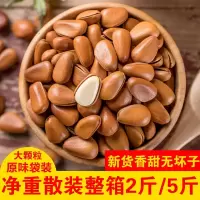 [年货节特价]新货东北开口松子500g手剥大松子散装批发袋装5斤