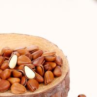 [康梦]新货东北开口红松子连罐共1000g 鲜香可口 零食坚