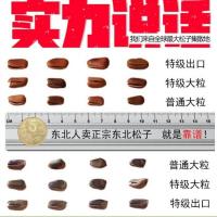 东北松子新货净重500g250g袋装原味零食干果批发散装开口红松子仁