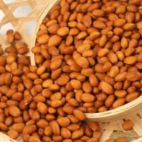 新云南开口松子坚果零食散装300g/1000多规格批发5斤年货大礼