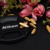 新货超大颗粒巴西松子2罐特级手剥松子坚果炒货休闲零食