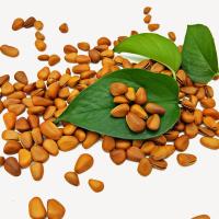 青本佳仁原味开口东北松子大颗粒新货袋装罐装净重零食干果