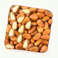 年货东北开口松子净重500g袋装手剥原味坚果散装5斤干果红松子